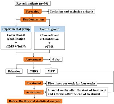 Study protocol of a randomized controlled trial for the synergizing effects of rTMS and Tui Na on upper limb motor function and cortical activity in ischemic stroke